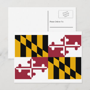 Marylander Flagga, Flagga av Maryland Vykort