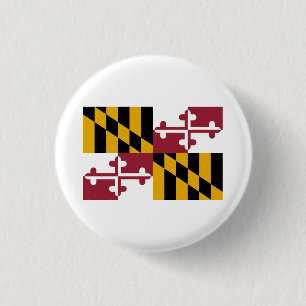 Marylander Flagga, Flagga Maryland Knapp