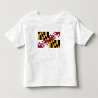 Marylands statsflagga