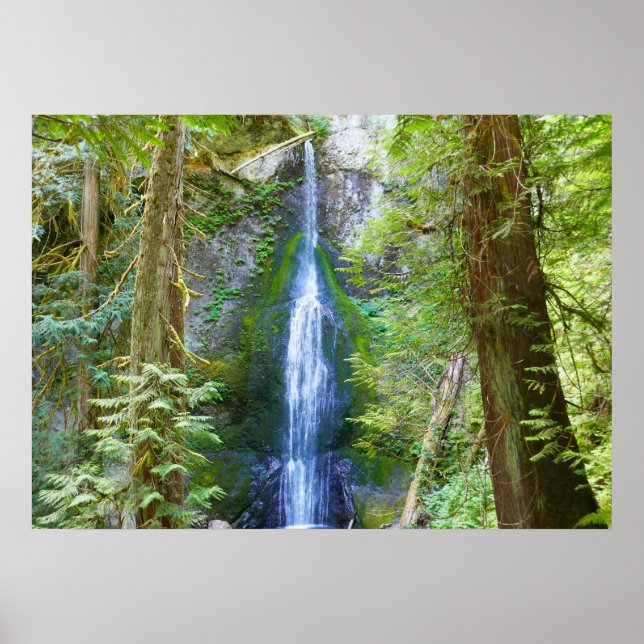 Marymere Falls I vid Olympic National Park Poster (Framsidan)