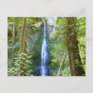Marymere Falls I vid Olympic National Park Vykort