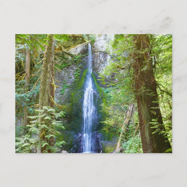 Marymere Falls I vid Olympic National Park Vykort (Framsida)