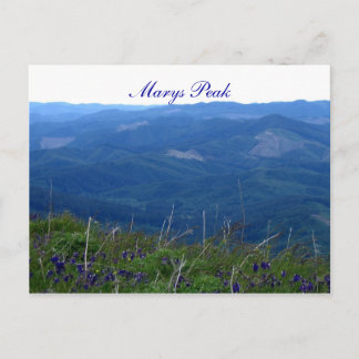 Marys Peak Vykort