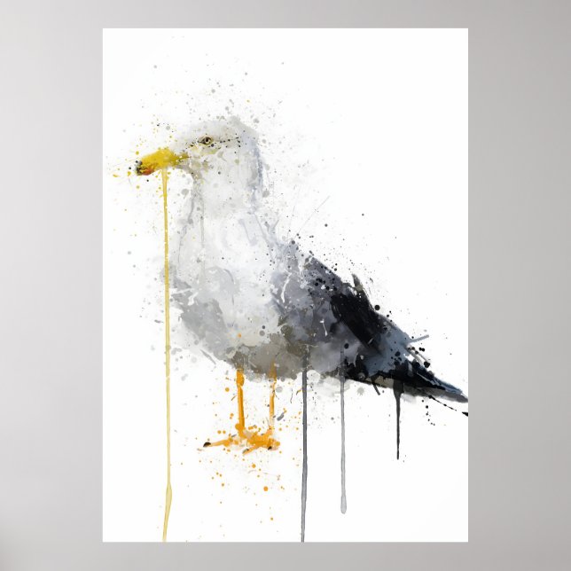Mås Fågel Poster (Framsidan)