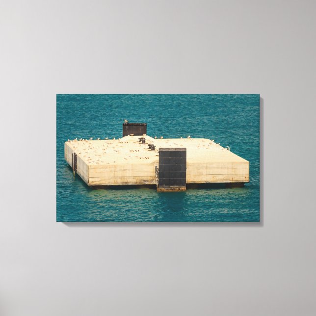 mås på sträckt canvastryck (Framsida)