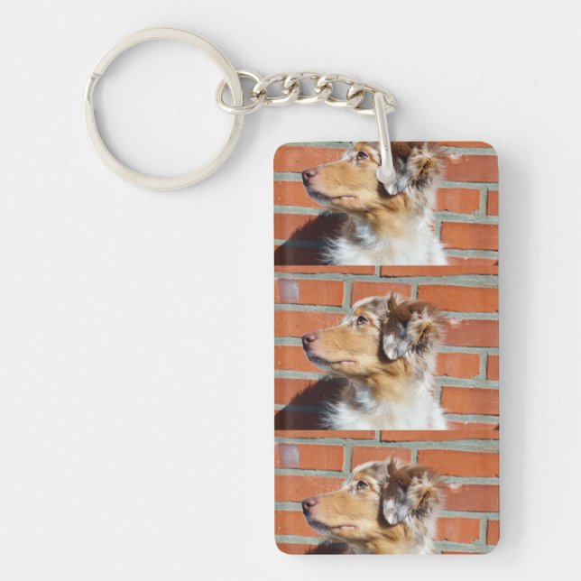 MAS Red Merle (Framsidan)