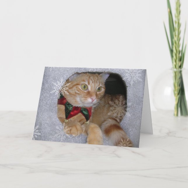 mas x card helgkort (Framsida)