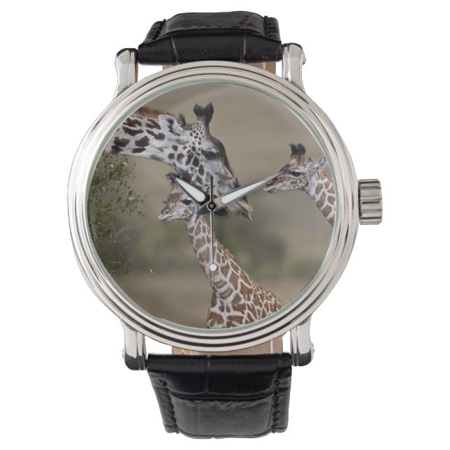 Masai-giraff (Giraffa tippelskirchi) Armbandsur (Framsida)