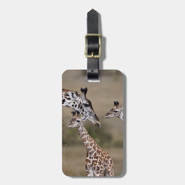 Masai-giraff (Giraffa tippelskirchi) Bagagebricka (Vertikal Framsida)