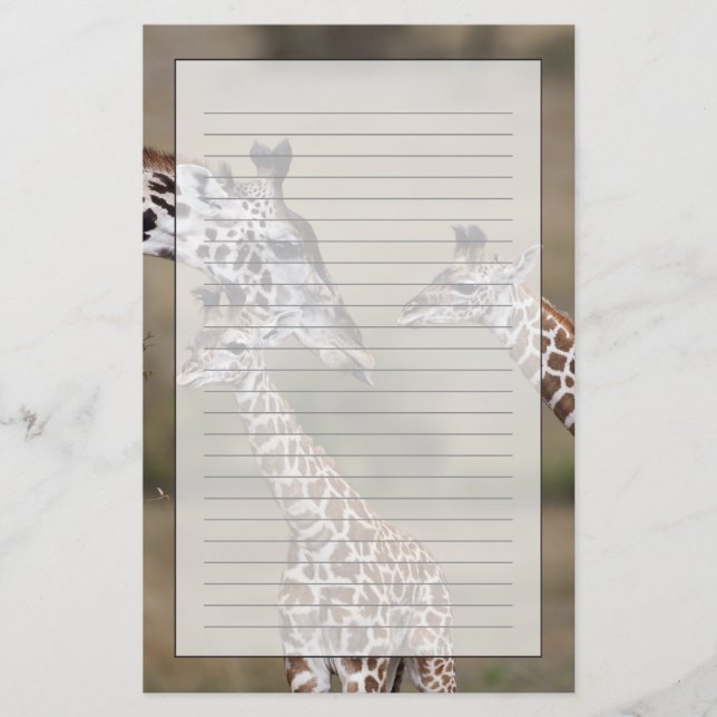 Masai-giraff (Giraffa tippelskirchi) Brevpapper (Framsida)