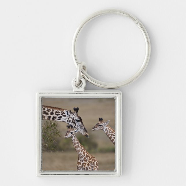 Masai-giraff (Giraffa tippelskirchi) Fyrkantig Silverfärgad Nyckelring (Framsidan)