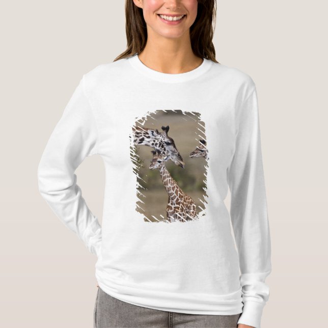 Masai-giraff (Giraffa tippelskirchi) Tröja (Framsida)