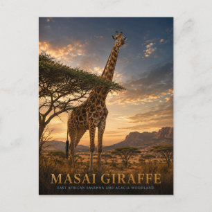 Masai-Giraff Savannah DJUR Vykort