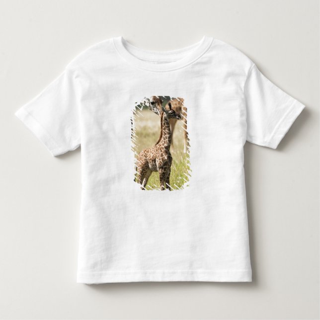 Masai giraffes, Giraffa camelopardalis 2 T Shirt (Framsida)