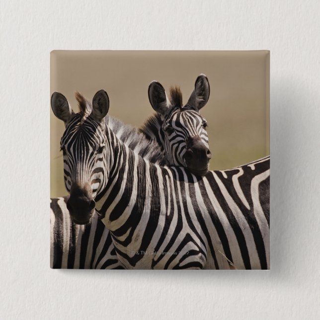 Masai Mara National Reserve, Kenya, juli 2005 3 Knapp (Framsida)