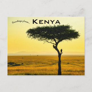 Masai Mara Nationalreservat i Kenya vykort