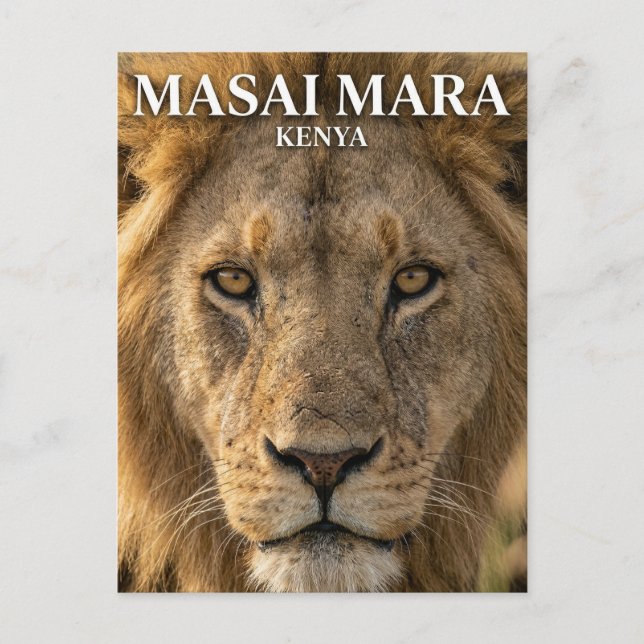 Masai Mara nationalreservat Kenya Vykort (Framsida)