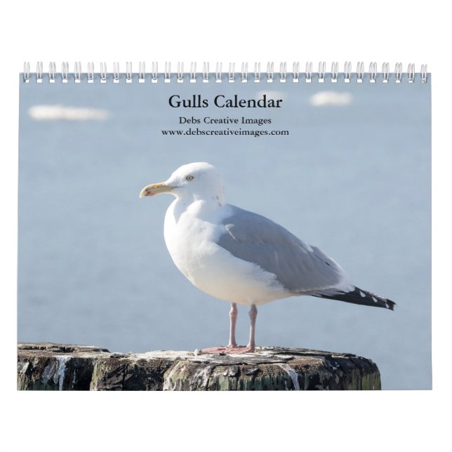 Måsar 2026 kalender (Omslag)