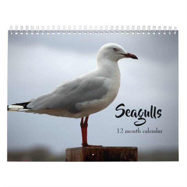 Måsar 2027 kalender (Omslag)