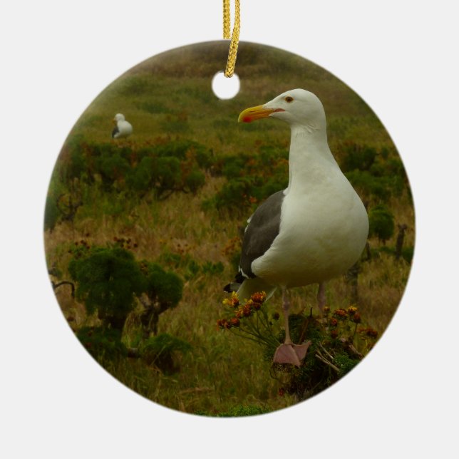 Måsar på Anacapa Island Julgransprydnad Keramik (Framsidan)