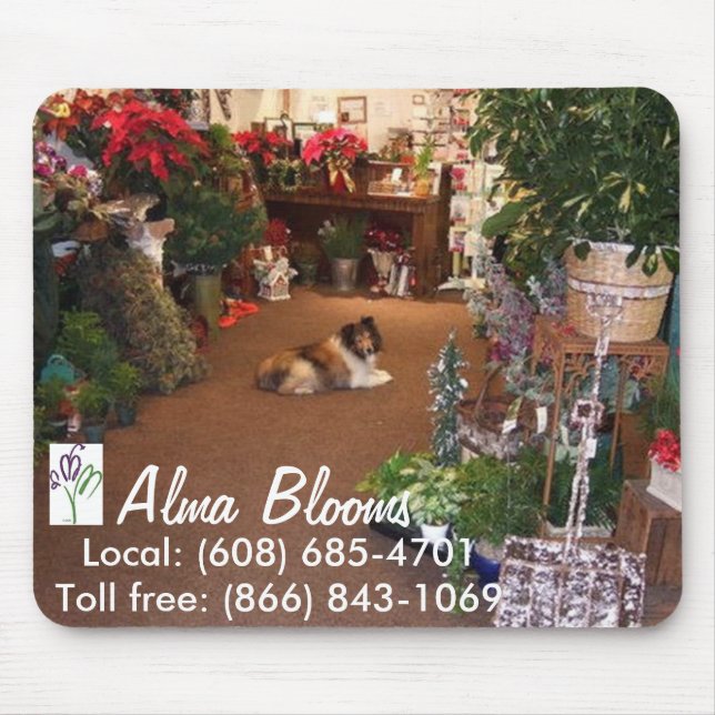 Mascot Musmatta (Framsidan)