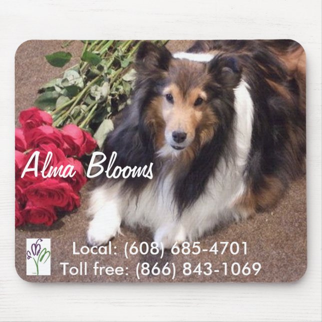 Mascot Musmatta (Framsidan)