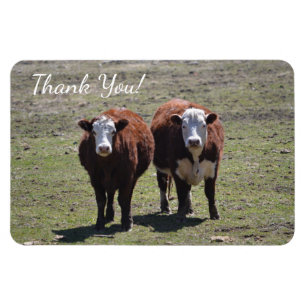 Masculine Cow Tack Magnet