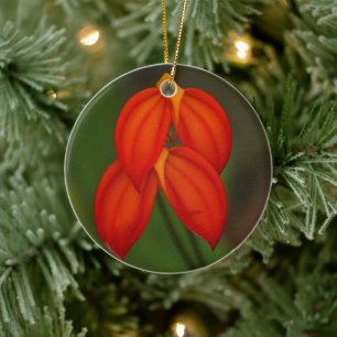 Masdevallia ignea Orchid Julgransprydnad Keramik