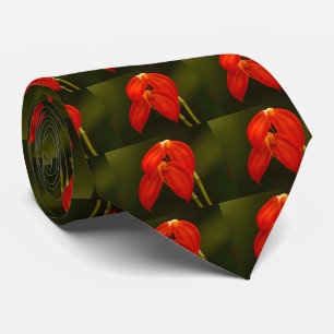 Masdevallia ignea Orchid-Manarna Slips
