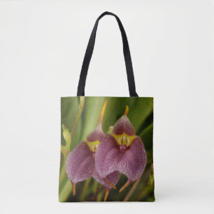Masdevallia Tygkasse