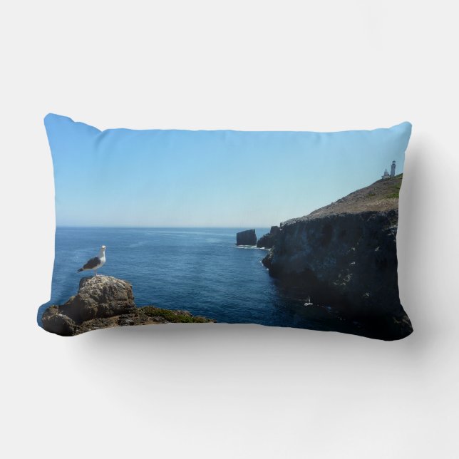 Måse på Anacapa Island vid Channel Islands Lumbarkudde (Framsida)