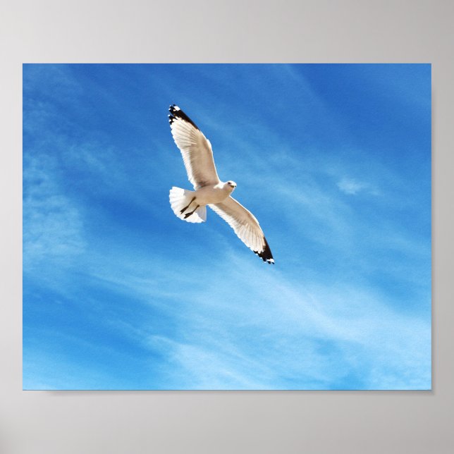 Måse under flykt poster (Framsidan)