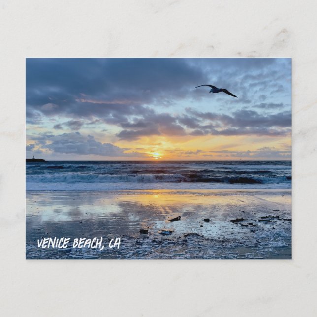 Måsen tar flyg - Venice Beach, CA Vykort (Framsida)