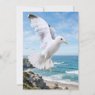 Måsfotografikort, kustnaturpresent, Ins Tack Kort