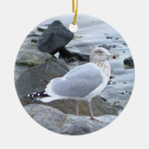 Måsfotoornament julgransprydnad keramik