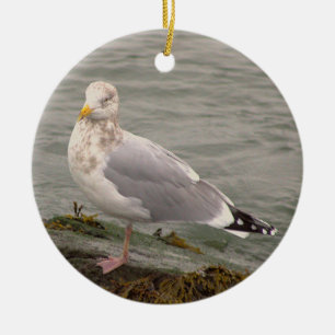 Måsfotoornament julgransprydnad keramik
