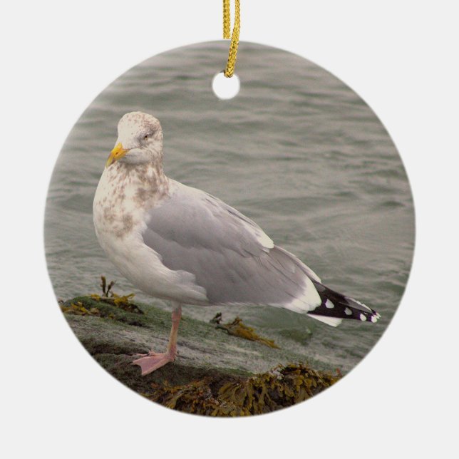 Måsfotoornament  julgransprydnad keramik (Framsidan)
