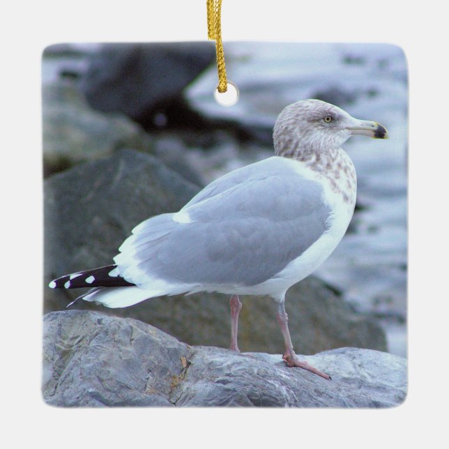 Måsfotoornament  julgransprydnad keramik (Framsida)