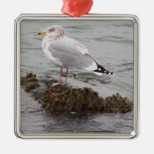 Måsfotoornament julgransprydnad metall