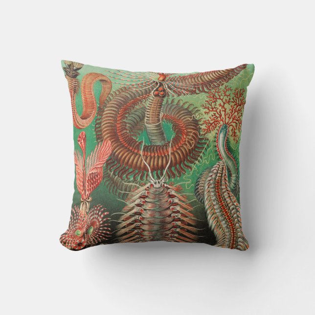 Mask, Annelids Chaetopoda av Ernst Haeckel Kudde (Framsida)