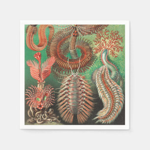 Mask, Annelids Chaetopoda av Ernst Haeckel Pappersservett
