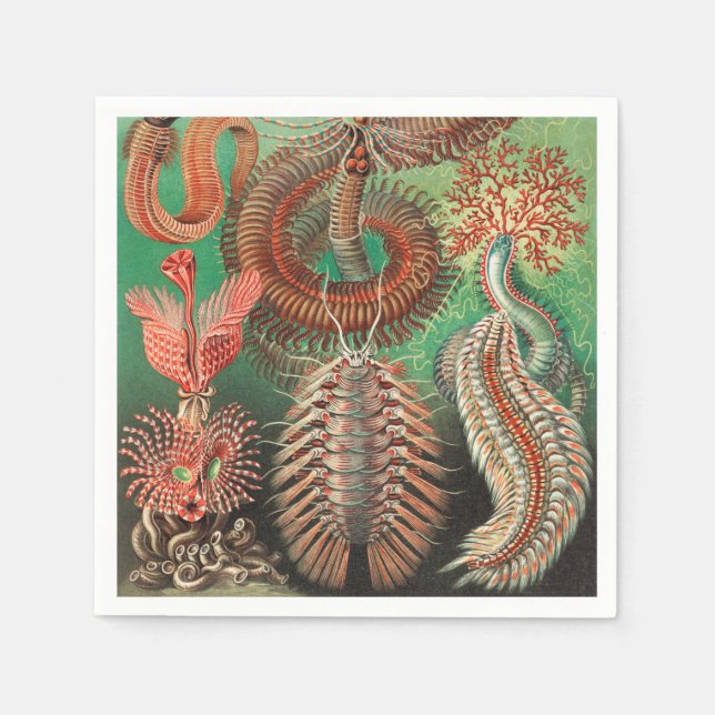 Mask, Annelids Chaetopoda av Ernst Haeckel Pappersservett (Framsidan)