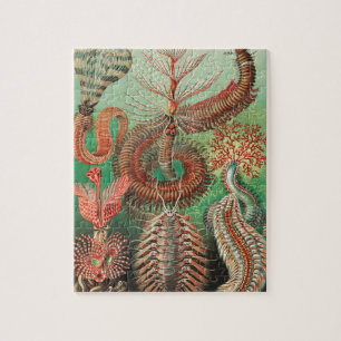 Mask, Annelids Chaetopoda av Ernst Haeckel Pussel