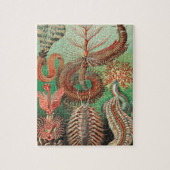 Mask, Annelids Chaetopoda av Ernst Haeckel Pussel (Vertikal)