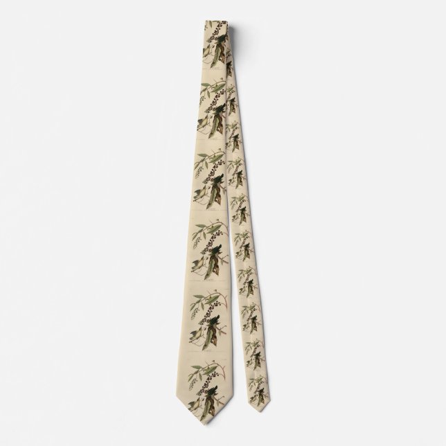 Mask ätare - Audubon's Birds of America Slips (Framsida)