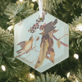 Mask-Eating Warbler Audubon songbird Julgransdekoration