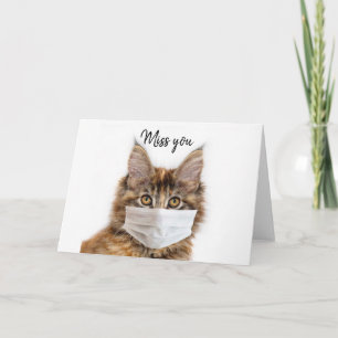 Mask med Maine Coon katt Kort