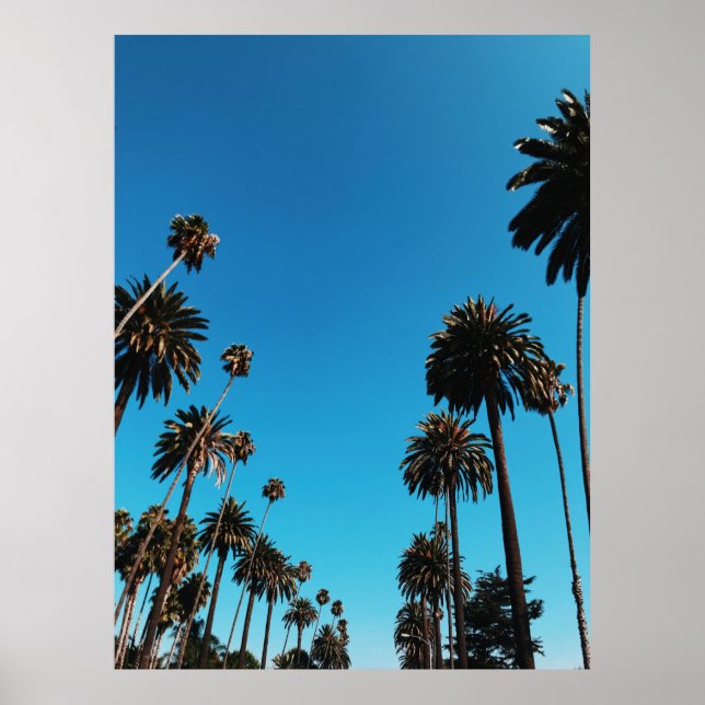 Mask öga vy över träd poster (Framsidan)