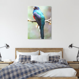 Mask Trogon Canvastryck
