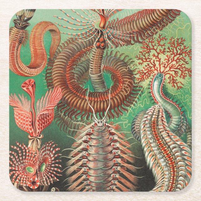 Maskar, Annelider Chaetopoda av Ernst Haeckel Underlägg Papper Kvadrat (Framsidan)